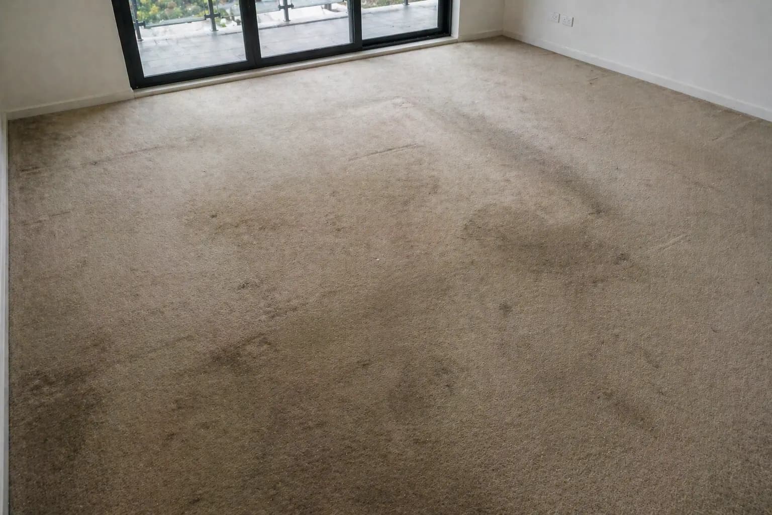 Carpet Transformation before