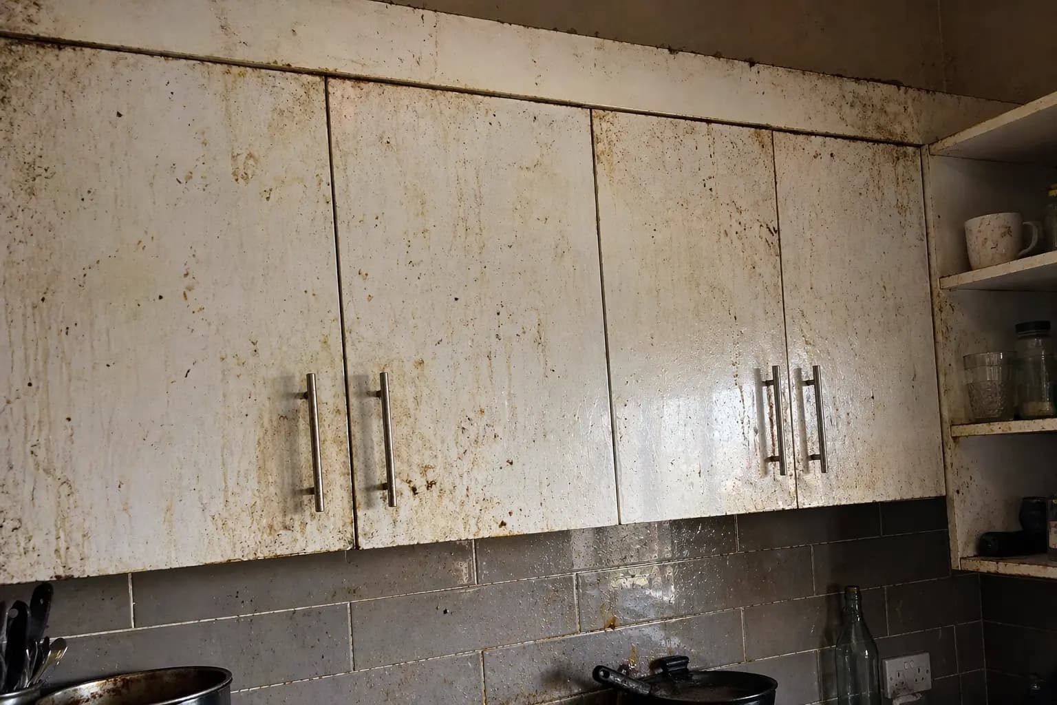 Kitchen Cabinet Transformation before