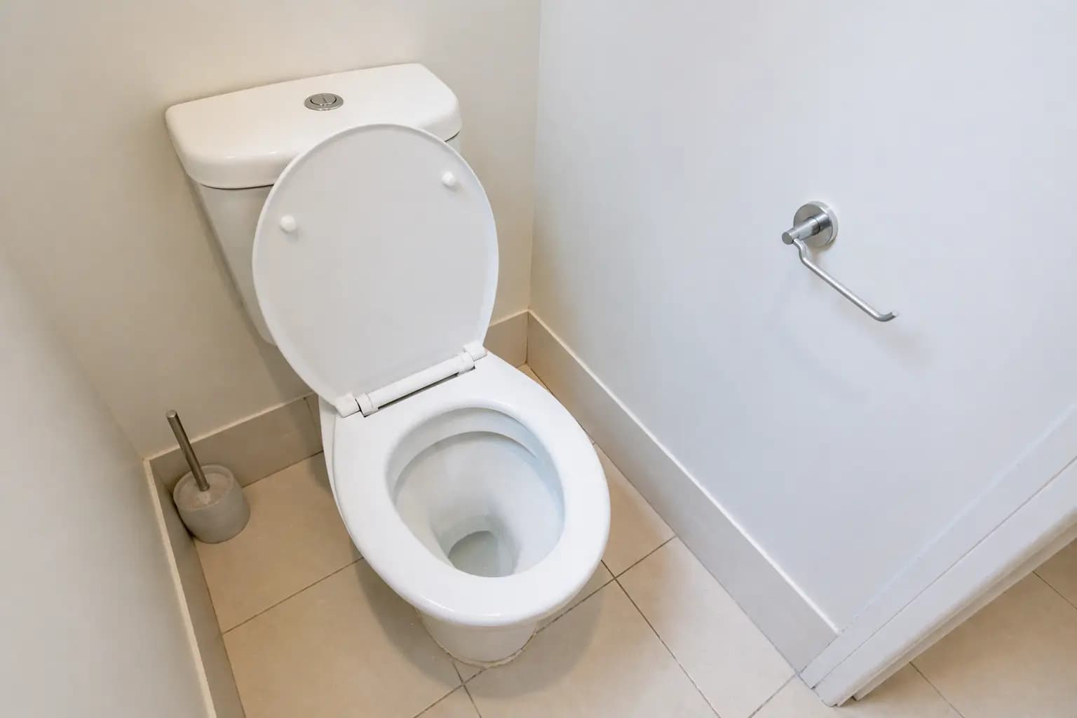 Toilet Transformation after