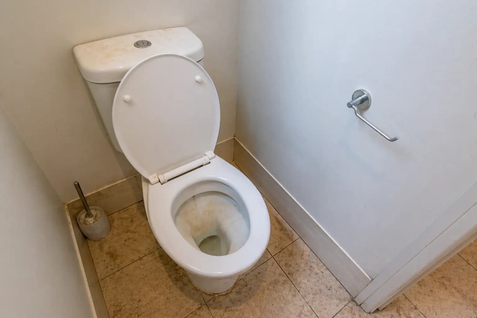 Toilet Transformation before